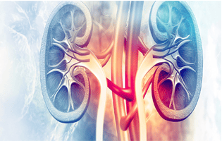 Nephrology