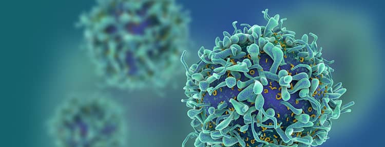 Oncology