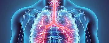 Respiratory Medicine